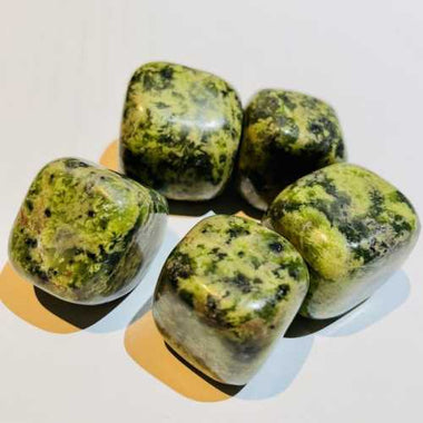 Genuine Green Jungle Jasper Gemstone Crystal Tumble 3-4cm