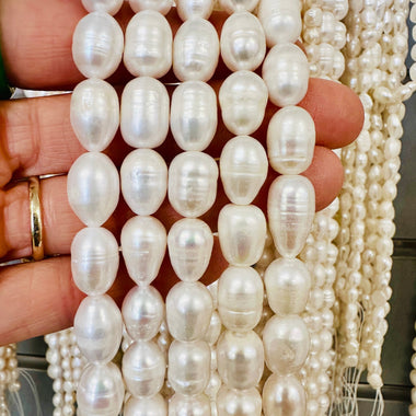 Freshwater Pearl 12 - 14mm - 15.5"inches Strand - Beadsy Beads