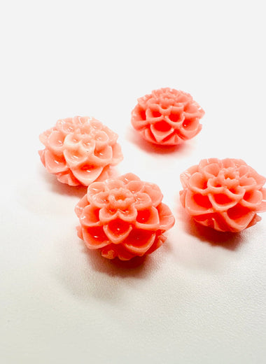 Shell & Coral