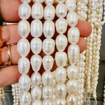Freshwater Pearl 12 - 14mm - 15.5"inches Strand - Beadsy Beads