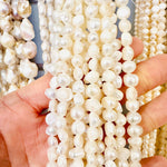 Freshwater Pearl Beads 7 - 8 mm - 15.5"inches Strand - Beadsy Beads
