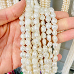 Natural Freshwater Pearls Button Beads 9 - 10 mm - 15.5"inches Strand - Beadsy Beads