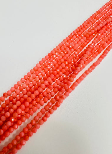 Shell & Coral
